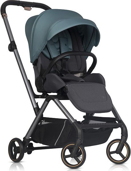 Cavoe Ideo stroller with rotation 360° (to 22kg) Arctic FREE DELIVERY